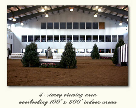 3 storey viewing area overlooking indoor arena