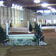 original indoor arena