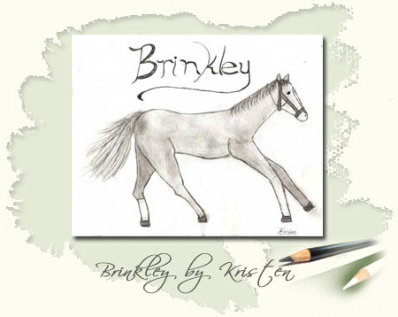 Brinkley by Kristen