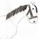 Buddy by Jane