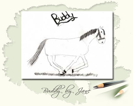 Buddy by Jane