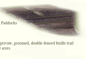 dirt paddocks