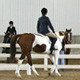 Warm-up area on show day